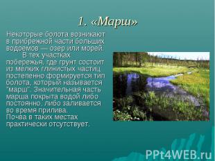 1. «Марш» Некоторые болота возникают в прибрежной части больших водоемов — озер