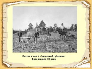 Пахота и сев в Олонецкой губернии. Фото начала XX века