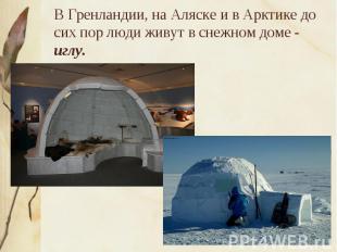 В Гренландии, на Аляске и в Арктике до сих пор люди живут в снежном доме - иглу.