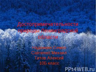 Достопримечательности природы Ленинградской области Надежкин Семен Савченко Миха