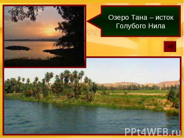 Озеро Тана – исток Голубого Нила