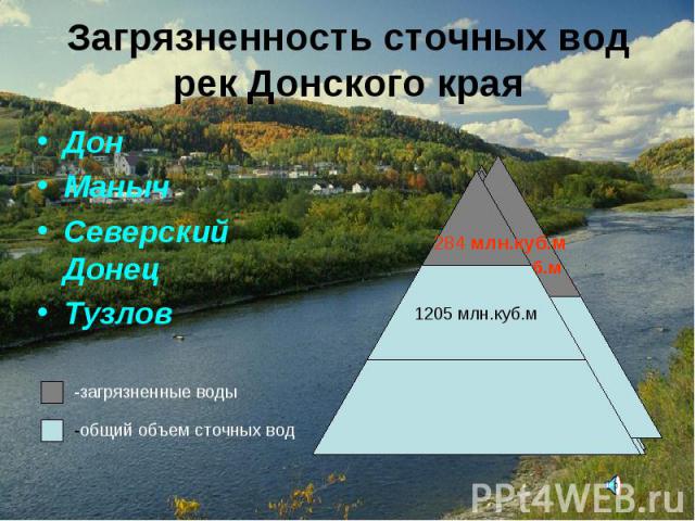 Загрязненность сточных вод рек Донского края Дон Маныч Северский Донец Тузлов