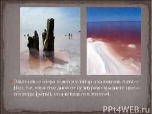 Эльтонское озеро зовется у татар и калмыков Алтан-Нор, т.е. «золотое дно» от пур