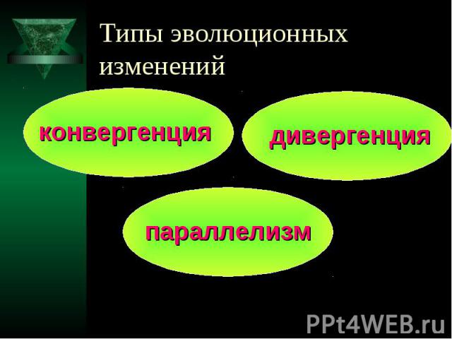 Типы эволюционных изменений конвергенция дивергенция параллелизм