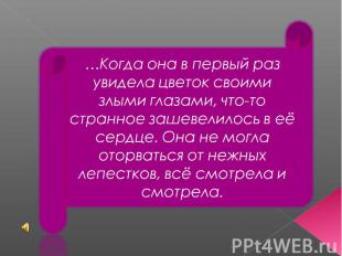 …Когда она в первый раз увидела цветок своими злыми глазами, что-то странное заш