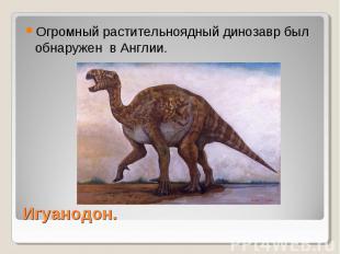 Огромный растительноядный динозавр был обнаружен в Англии. Игуанодон.