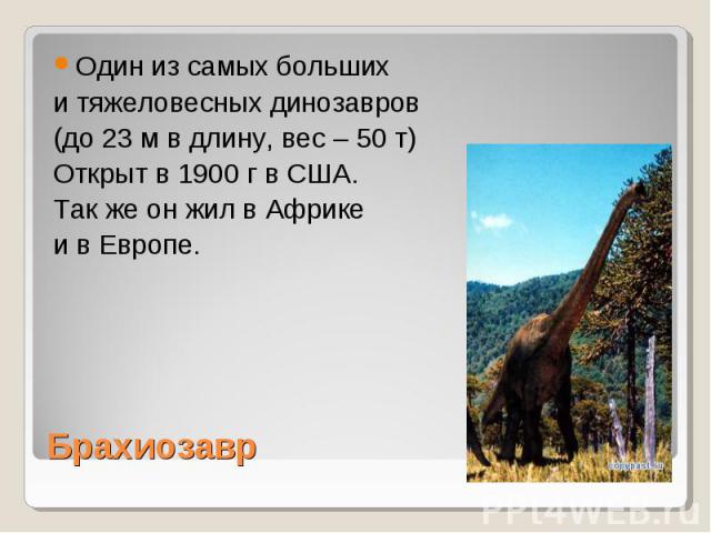 Один из самых больших и тяжеловесных динозавров (до 23 м в длину, вес – 50 т) Открыт в 1900 г в США. Так же он жил в Африке и в Европе. Брахиозавр