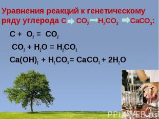 Уравнения реакций к генетическому ряду углерода C CO2 H2CO3 CaCO3:C + O2 = CO2 C