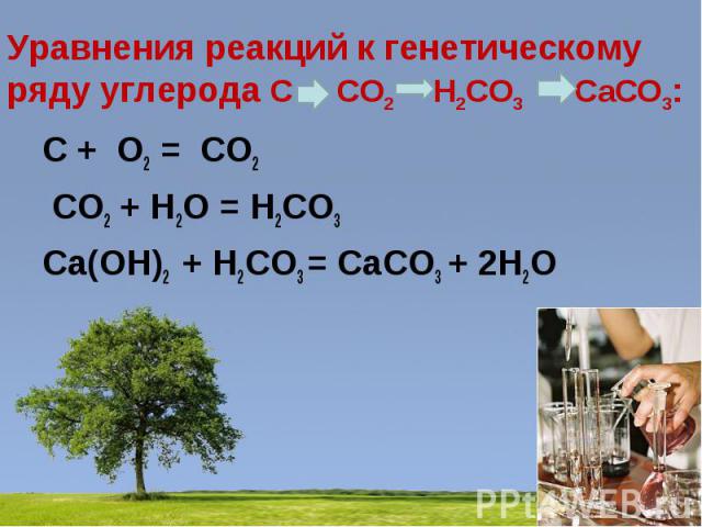 Уравнения реакций к генетическому ряду углерода C CO2 H2CO3 CaCO3:C + O2 = CO2 CO2 + H2O = H2CO3 Ca(OH)2 + H2CO3 = CaCO3 + 2H2O