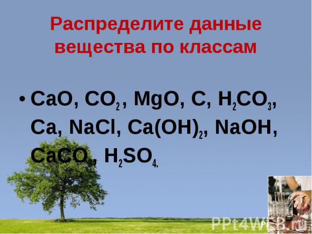 Распределите данные вещества по классам CaO, CO2 , MgO, C, H2CO3, Ca, NaCl, Ca(OH)2, NaOH, CaCO3, H2SO4.