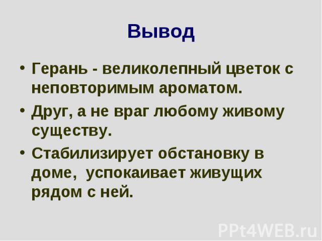 ВыводГерань - великолепный цветок с неповторимым ароматом. Друг, а не враг любому живому существу. Стабилизирует обстановку в доме, успокаивает живущих рядом с ней.