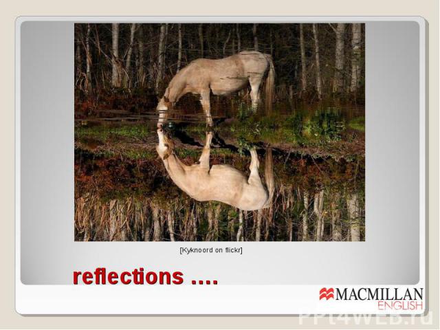 reflections ….