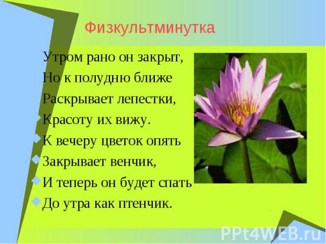 ФизкультминуткаУтром рано он закрыт, Но к полудню ближе Раскрывает лепестки, Красоту их вижу. К вечеру цветок опять Закрывает венчик, И теперь он будет спать До утра как птенчик.