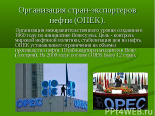 Организация стран-экспортеров нефти (ОПЕК).  Организация межправительственного у