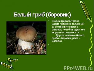 Белый гриб (боровик) Белый гриб считается царём грибов не только из-за его внуши