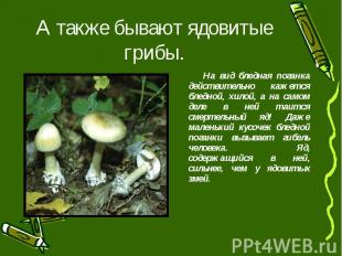 А также бывают ядовитые грибы. На вид бледная поганка действительно кажется блед