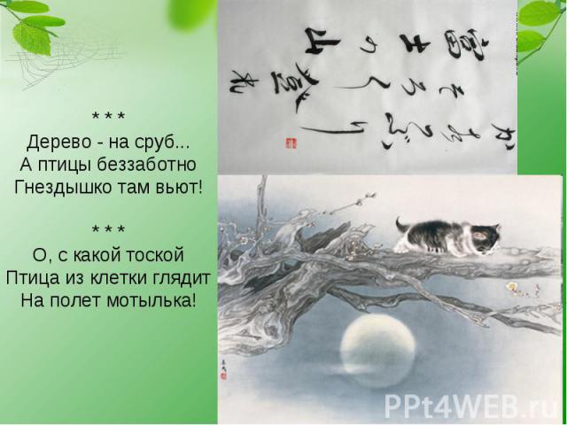 * * * Дерево - на сруб... А птицы беззаботно Гнездышко там вьют! * * * О, с какой тоской Птица из клетки глядит На полет мотылька!