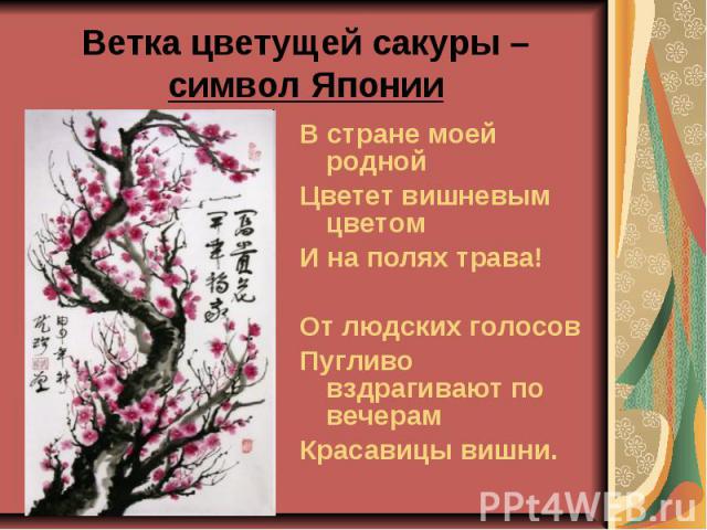 Ветка цветущей сакуры – символ Японии В стране моей родной Цветет вишневым цветом И на полях трава! От людских голосов Пугливо вздрагивают по вечерам Красавицы вишни.