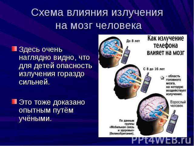 Схема влияния излучения на мозг человека Здесь очень наглядно видно, что для детей опасность излучения гораздо сильней. Это тоже доказано опытным путём учёными.