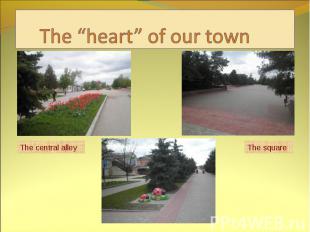 The “heart” of our town The central alley The square