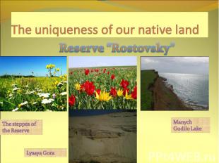 The uniqueness of our native land Reserve “Rostovsky” The steppes of the Reserve