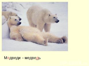 Медведи - медве_ь