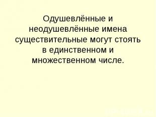 Одушевлённые и неодушевлённые имена существительные могут стоять в единственном