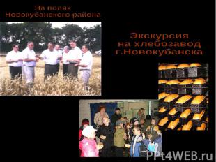 На полях Новокубанского района Экскурсия на хлебозавод г.Новокубанска