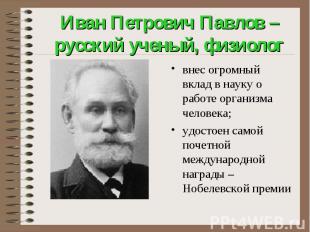 Иван Петрович Павлов – русский ученый, физиологвнес огромный вклад в науку о раб