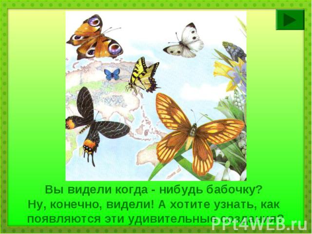 Вы видели когда - нибудь бабочку? Ну, конечно, видели! А хотите узнать, как появляются эти удивительные создания?