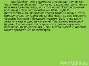 inger Monkey - это в примерном переводе, звучит как "пальчиковая обезьяна". Так