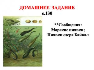 ДОМАШНЕЕ ЗАДАНИЕ с.130 **Сообщения: Морские пиявки; Пиявки озера Байкал