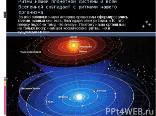 Ритмы нашей планетной системы и всей Вселенной совпадают с ритмами нашего органи