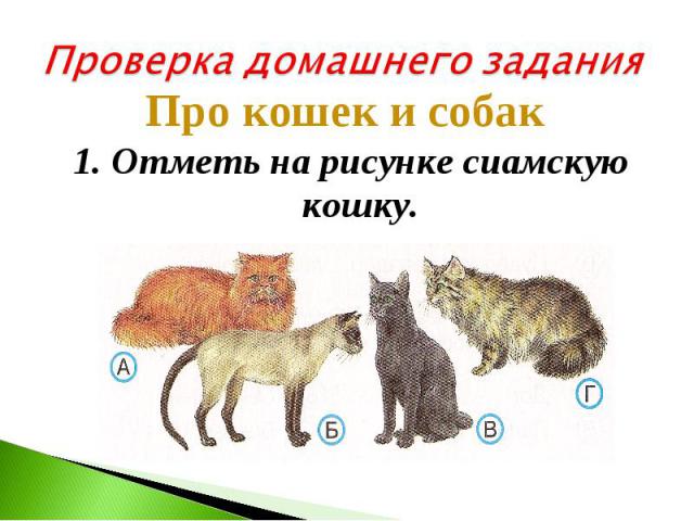 Проверка домашнего заданияПро кошек и собак 1. Отметь на рисунке сиамскую кошку.