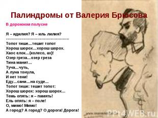 Палиндромы от Валерия БрюсоваВ дорожном полусне Я – идилия? Я – иль лилия? -----