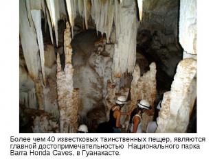 Более чем 40 известковых таинственных пещер, являются главной достопримечательно