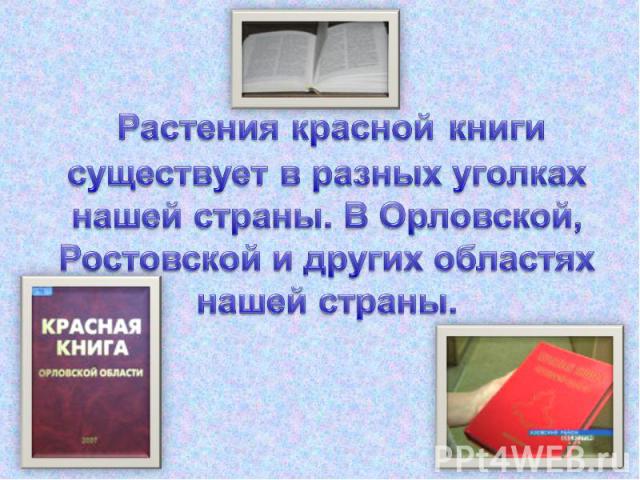 Растения красной книги существует в разных уголках нашей страны. В Орловской, Ростовской и других областях нашей страны.