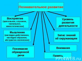 Восприятие (зрительное, слуховое, тактильное, кинестетическое) Запас знаний об о