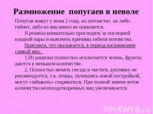 Попугаи живут у меня 2 года, но потомство их либо гибнет, либо из яиц никто не п