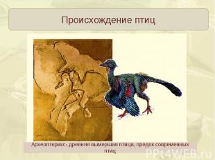 Происхождение птицАрхеоптерикс- древняя вымершая птица, предок современных птиц