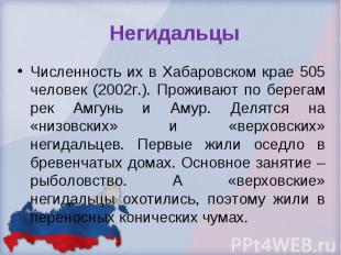 Негидальцы Численность их в Хабаровском крае 505 человек (2002г.). Проживают по