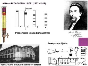 Разделение хлорофилла (1903) Здесь была открыта хроматография Аппаратура Цвета