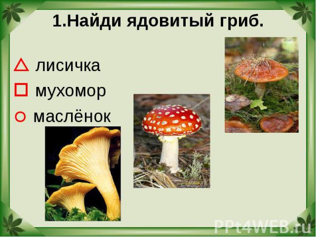 1.Найди ядовитый гриб. лисичка мухомор маслёнок