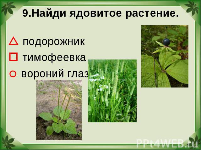 9.Найди ядовитое растение. подорожник тимофеевка вороний глаз