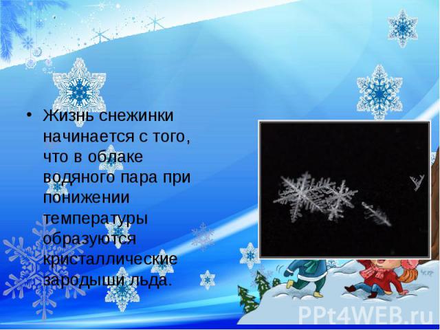 Жизнь снежинки начинается с того, что в облаке водяного пара при понижении температуры образуются кристаллические зародыши льда.