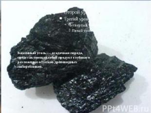 Бачатский угольный разрезУгленосные отложения Бачатского разреза включают 22 уго