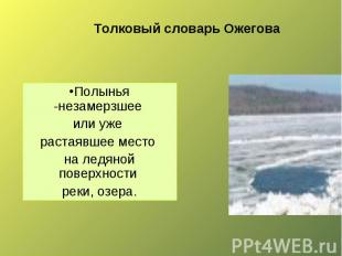 Толковый словарь Ожегова Полынья -незамерзшее или уже растаявшее место на ледяно