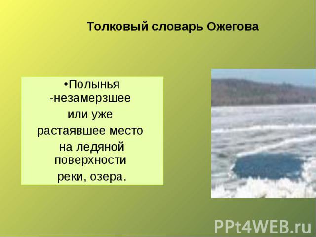 Толковый словарь Ожегова Полынья -незамерзшее или уже растаявшее место на ледяной поверхности реки, озера.
