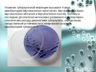 Развитие туберкулезной инфекции вызывают 4 вида микобактерий (Mycobacterium tube