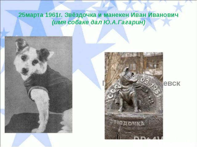 25марта 1961г. Звёздочка и манекен Иван Иванович(имя собаке дал Ю.А.Гагарин)